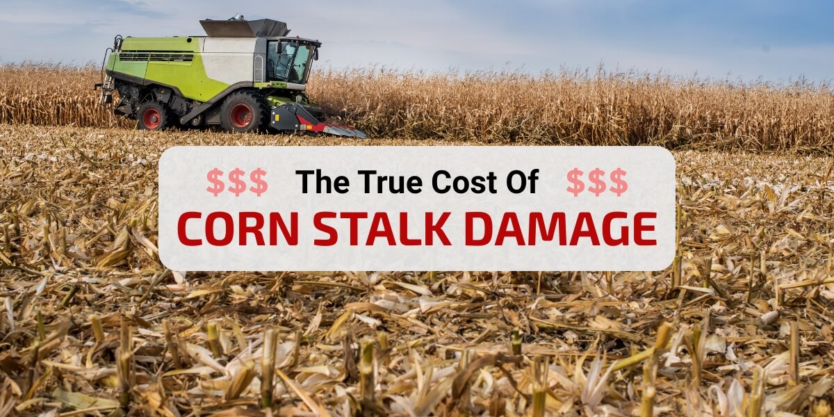 Claas combine harvesting a corn field. In the foreground, sharply cut corn stalks stick straight up from the ground. Text says: The True Cost of Corn Stalk Damage.