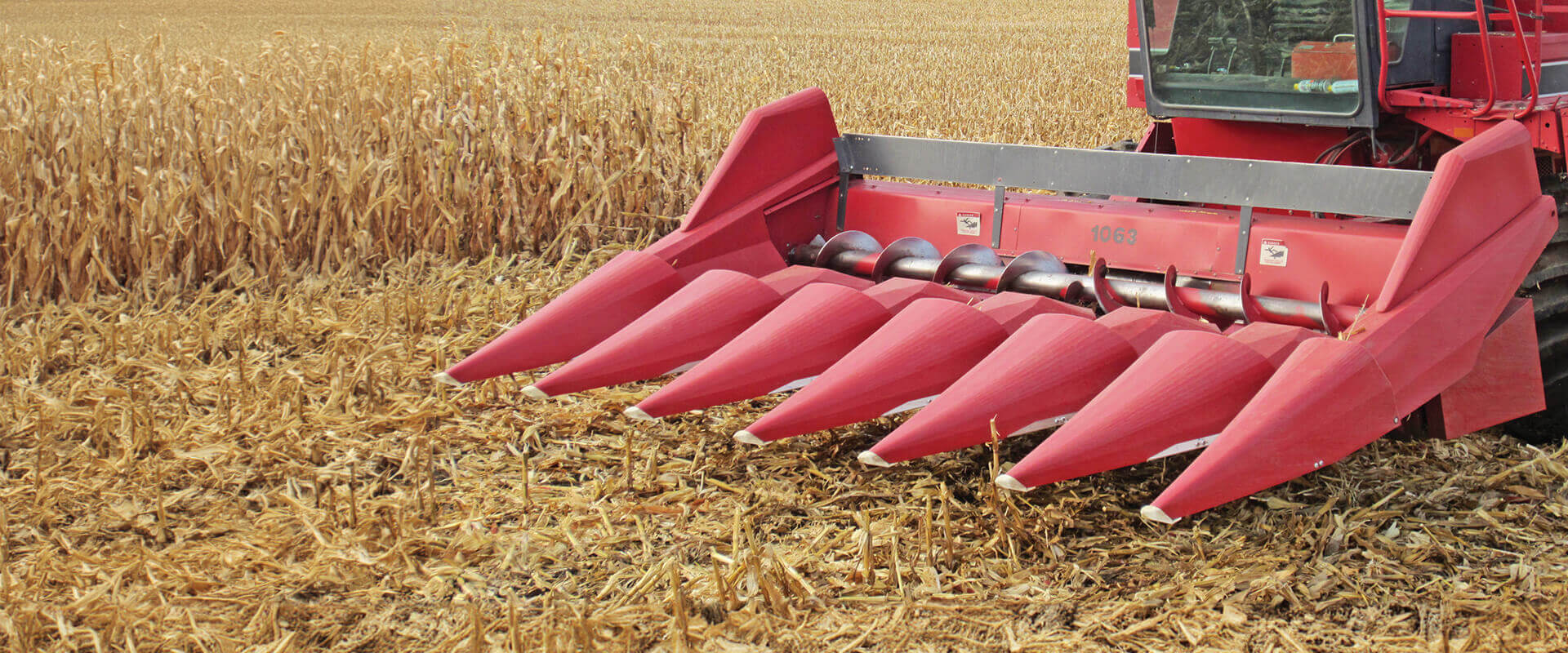 Case IH 1063 corn head with red GVL Poly corn snouts in corn field during harvest season