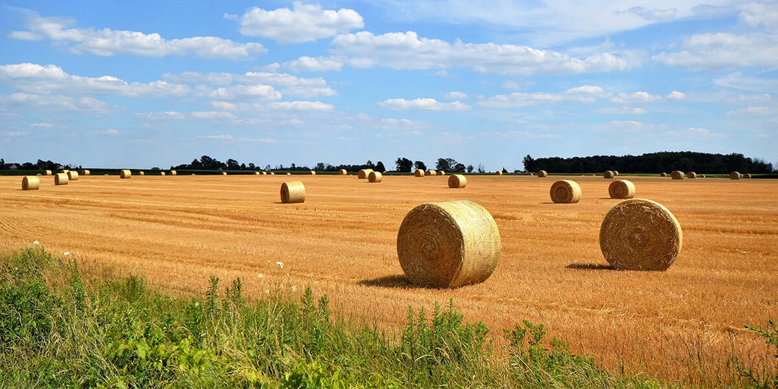 It's Time to Make Hay! Products for Hay Growers – May Wes