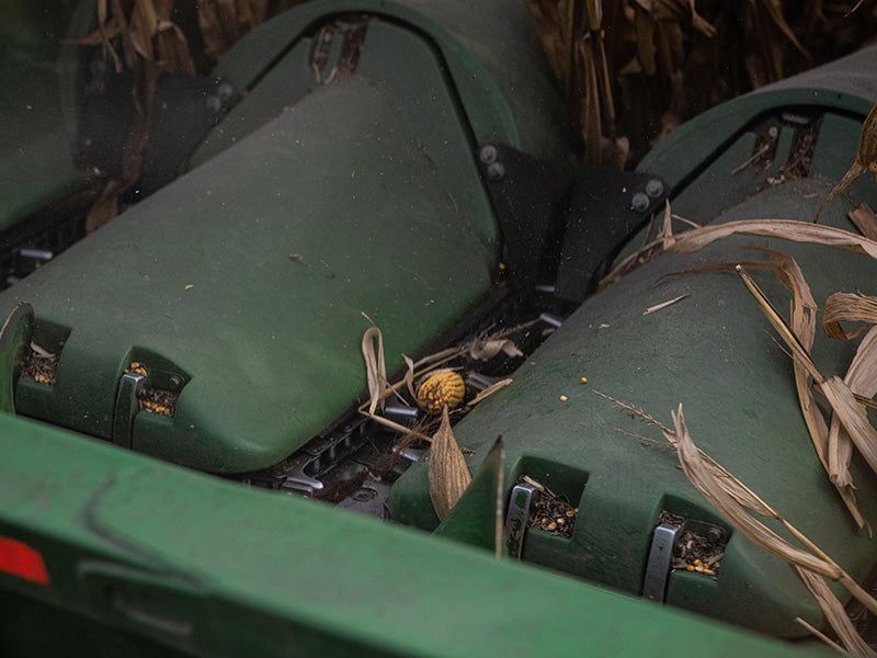 kernel keeper harvesting corn